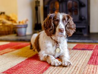 2 bed in Torrington 49589 - Roborough - 1