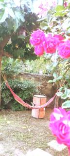 Villa jardin exceptionnel,piscine privée,climatisé - Aviñón - 4