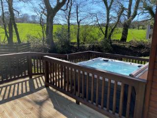 2 Bed in Dartmoor National Park 06200 - Okehampton - 0