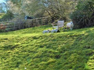 2 Bed in Crickhowell 42920 - Llangattock - 8