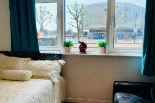 Cosy London Apartment with River View - Londra - 3