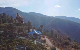 Barhol Lodge - - 6