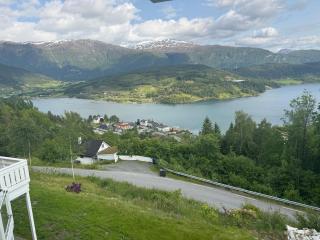 Nylendo - Ulvik - 0