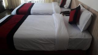 Hotel Blue Himalaya - Pokhara - 1