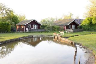 Vakantiehuisjes Landgoed Sonneborghe - Kollumerzwaag - 2