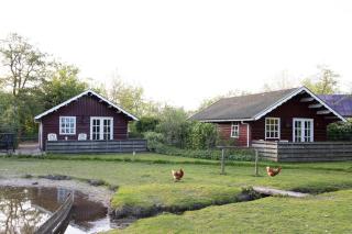 Vakantiehuisjes Landgoed Sonneborghe - Kollumerzwaag - 1