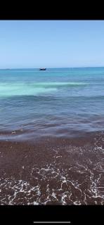 Beach front Chalet - Alexandria - 1