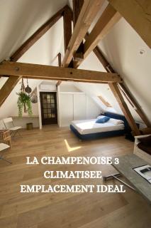 La Champenoise - Troyes - 7