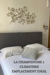 La Champenoise - Troyes - 8