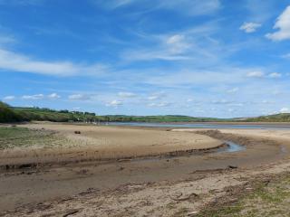 2 bed in Llansteffan 74268 - Ferryside - 3
