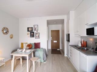 Tikkurila studio for 4 people next to the airport, private parking - Vantaa - 3