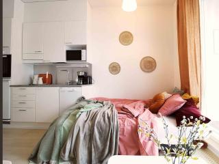 Tikkurila studio for 4 people next to the airport, private parking - Vantaa - 2