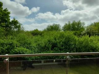 Sonne, Wind und Wetter - Schottwarden - 1