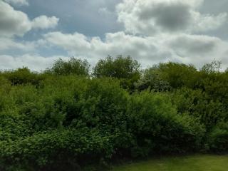 Sonne, Wind und Wetter - Schottwarden - 4