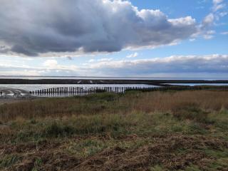 Sonne, Wind und Wetter - Schottwarden - 9