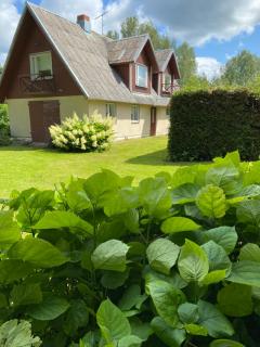 Puhkemaja Puhkus - Vardi - 4