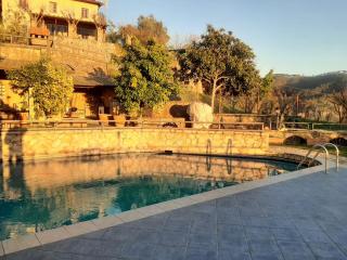 Tenuta Collalceppo - Nocchi - 1