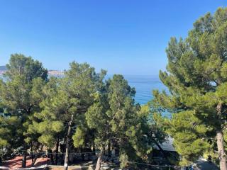Pine & Sea - Bar - 5
