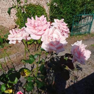 Artist's House and Studio - Beaubery - 1