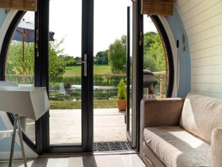 1 Bed in New Quay 77496 - Lampeter - 7