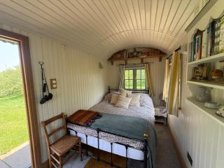 Shepherd Hut in a Herefordshire Cider Orchard - Peterstow - 9