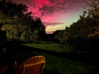 Shepherd Hut in a Herefordshire Cider Orchard - 2