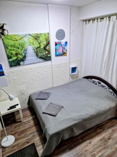 Centro Apartman - Siófok - 5