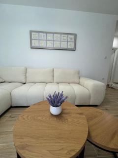 Beige Apartman Svetlana, Igalo - 7