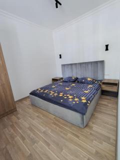 One bedroom apartment in the small center - Erevan - 1