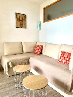 Appartement Cosy à 30m des pistes - Ski aux pieds - Samoëns - 3