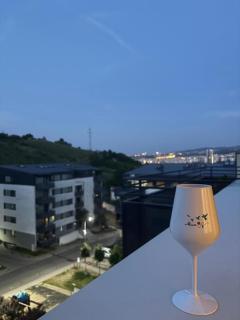Donath Park spacious appartment - Floreşti - 8