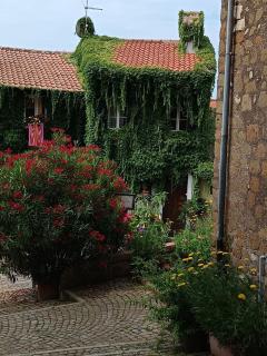 Casa San Biagio - Palestrina - 9
