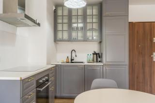 Park Śląski Charming Apartment by BookingHost - Kattowitz - 5