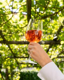 Badia Giulia Prestigious Historical B&B, Camaiore - Adults Only - No Pets - 2