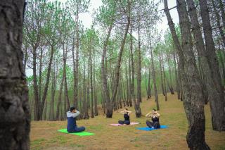 The Manor Sports and Wellness Hotel - 3