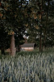 Pärchen Auszeit am Rande der Heide Constantia Apartment - 6