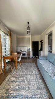 The Raduga apartment - Chon-Sary-Oy - 1