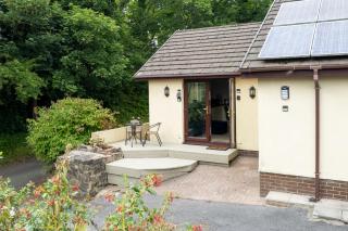 The Willows - Peaceful Retreat - Saundersfoot - 9
