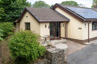 The Willows - Peaceful Retreat - Saundersfoot - 6