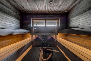 Luxury Villa Preeria - Himos - 1
