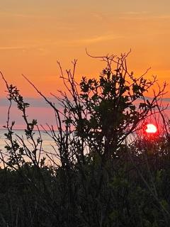 Time out in the old farmhouse - 1