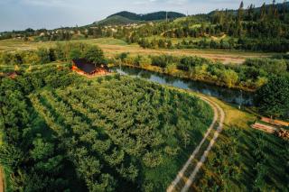 Moonlake Chalet - - 5