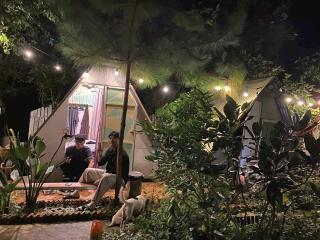 Dalat Inn Homestay - Da Lat - 5
