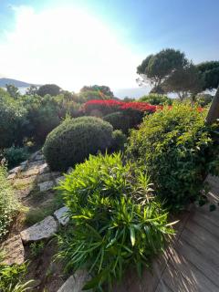 Costa di fiori - Coti-Chiavari - 3
