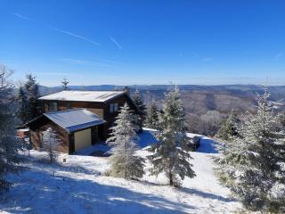 S Westridge View Cabin with Hot Tub & Ski-Shuttle - 9