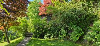 Ferienhaus Anna - Weitenbach - 2