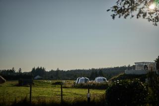 Stangeland Gard - Austevoll - 4