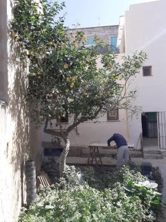 La casa del Limone - Casa Santa - 5