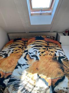 Spectacular Prague Views room for 1 or 2 - Prag - 9