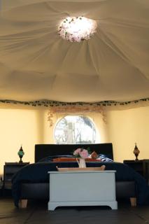 Little River Glamping - Ballymoney - 7